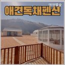 댕댕별 네이버블로그