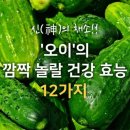 오이의 깜짝 놀랄 건강 효능 12가지 이미지