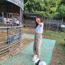 어른이 가도 좋았던 반달곰이살던숲캠핑장(내돈내산후기)