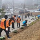 새봄이야 이미지