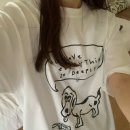 도그프리 이미지