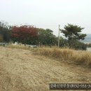 강화땅공인중개사사무소 이미지