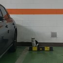 디아뜨크리닝 | Daily Story (23.2.15)