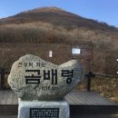 (주) 철마관광 이미지