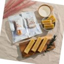 태인 애견 이미지