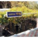 성지탕 이미지