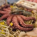 여수 낭만포차 맛집🌊 밤바다 보며 먹는 이순신 돌문어삼합 — 낭만포차18번 솔직 후기