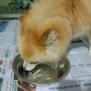 멍냠멍냠 이미지