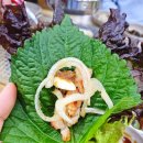 군자닭갈비 | 춘천 닭갈비 맛집 추천｜군자숯불닭갈비 찐후기