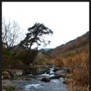 원효정사 이미지