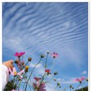 푸른하늘 이미지