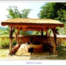 농촌테마공원2 이미지