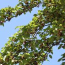 만물농원 이미지