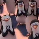 자유하는 이미지