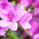 물금중학교 이미지