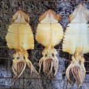 숯불상회 이미지