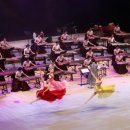 천년의 소리 가야금 이미지