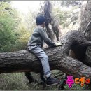 자연을담다 티스토리