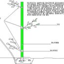 대나무 심는 방법 이미지