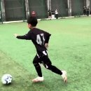 U9 송파구의회 의장배 (25.06.28) 이미지