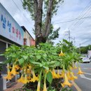 남천반점 이미지