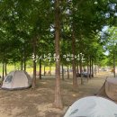 황산공원 이팝나무길주차장11번 | [경남] 부산 근교 양산 황산공원 캠크닉존 위치, 주차, 배달 정보 후기
