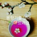 "창곡천~양재천~탄천~창곡천 걷기 운동"＜2019.04.14(일)＞ 이미지