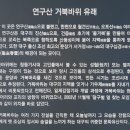 대구제일중학교 이미지