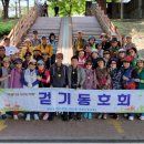 장미길 이미지