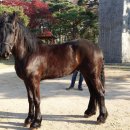 원당목장 이미지