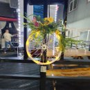 이솔라안티카 이미지