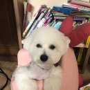 연서동물종합병원 이미지