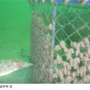 비안도수산 이미지