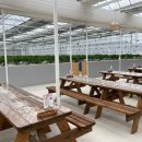 알로만농장 이미지