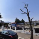 구미종합터미널옆 이미지