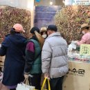 장수농산 - 통영시 | 장수농산