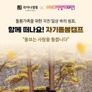 자기돌봄