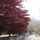 무수길-1 이미지