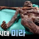 알프스 산맥에서 발견된 5300여년 전 미라 아이스맨 '외치 이미지