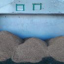 북영덕농협 미곡종합처리장 이미지