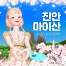 마이산남부관광안내소 이미지