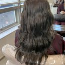 쌍용자동차 양산서비스 프라자 | 양산 범어 미용실 양산 염색 맛집 물금 미용실 : 모스트헤어 (다영 디자이너 후기)