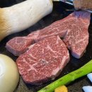 서산 한우 맛집 소뜰 소고기 정육 식당 현지인 회식 장소 추천