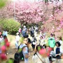 꽃동산