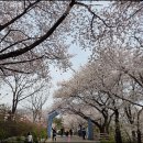 부천로264번길 이미지