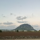 수덕펜션 | 제주도 감성 풀빌라 숙소 스페이스 농농 추천