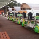 영종씨사이드 레일바이크 앞 이미지