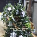 벤자민&데이지 이미지