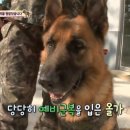 이상목농장 이미지