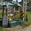 소나농장 이미지